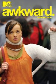 Awkward. saison 1 poster