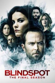 Blindspot saison 5 poster