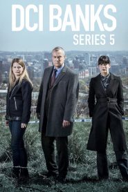 DCI Banks 