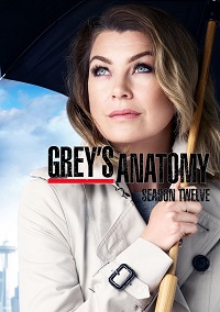 Grey’s Anatomy saison 12 poster