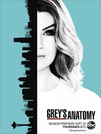 Grey’s Anatomy saison 13 poster