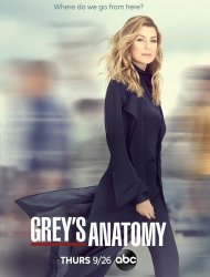 Grey’s Anatomy saison 16 poster