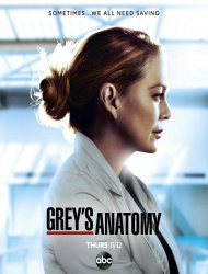 Grey’s Anatomy saison 17 poster