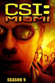 Les Experts : Miami 