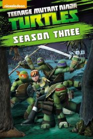 Les Tortues Ninja saison 3 poster