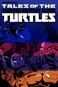 Les Tortues Ninja saison 5 poster