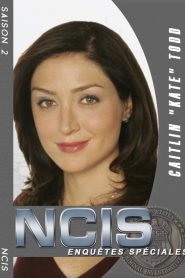 NCIS : Enquêtes Spéciales saison 2 poster