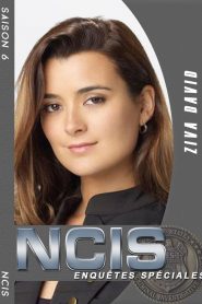 NCIS : Enquêtes Spéciales 