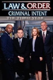 New York Section Criminelle saison 3 poster