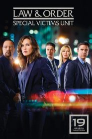 New York, unité spéciale saison 19 poster