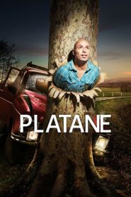 Platane