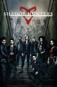 Shadowhunters : The Mortal Instruments 