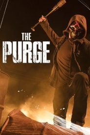 The Purge / American Nightmare 