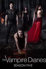 Vampire Diaries 